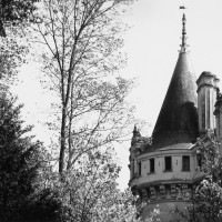 IGREBOW ե θž[å 11] ܥ ƥꥢե ԥ㡼 ̿