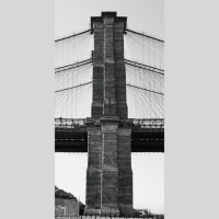 IGREBOW ˥塼衼 ֥å֥å[ 12] ܥ ƥꥢե ԥ㡼 ̿