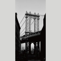 IGREBOW ˥塼衼 ֥å ϶褫鸫ޥϥå֥å[ 12] ܥ ƥꥢե ԥ㡼 ̿