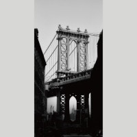 IGREBOW ˥塼衼 ֥å ϶褫鸫ޥϥå֥å[» 12] ܥ ƥꥢե ԥ㡼 ̿