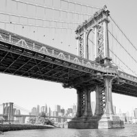 IGREBOW ˥塼衼 ޥϥå֥å[» 11] ܥ ƥꥢե ԥ㡼 ̿