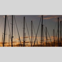 IGREBOW ˥塼ɥ˥ ͼΥåȥϡС[» 12] ܥ ƥꥢե ԥ㡼 ̿