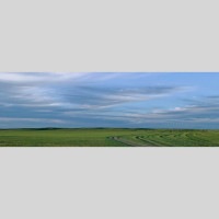 IGREBOW ��󥴥� �����𸶤Τ������[����� 1��3] ��������ܥ� ����ƥꥢ�ե��� �ԥ����㡼������ �̿�