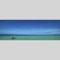 IGREBOW �˥塼����ɥ˥� �����ǡ�����ݥ��� �����Υӡ�����1�ܤ�ή�ڡ�[����� 1��3] ��������ܥ� ����ƥꥢ�ե��� �ԥ����㡼������ �̿�