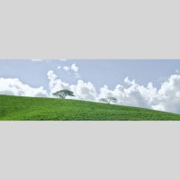 IGREBOW �˥塼����ɥ˥� �����ɥơ��������� �𸶤����ʡ�[���å� 1��3] ��������ܥ� ����ƥꥢ�ե��� �ԥ����㡼������ �̿�