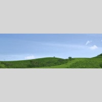 IGREBOW �˥塼����ɥ˥� �����ɥơ��������� ���Ҥ����ʡ�[���å� 1��3] ��������ܥ� ����ƥꥢ�ե��� �ԥ����㡼������ �̿�