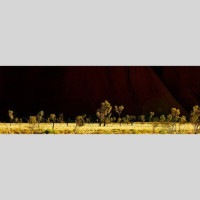 IGREBOW �������ȥ�ꥢ ����� ���ɤ��𸶡�[���å� 1��3] ��������ܥ� ����ƥꥢ�ե��� �ԥ����㡼������ �̿�