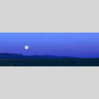 IGREBOW ��󥴥� �𸶤˾�����[����� 1��3] ��������ܥ� ����ƥꥢ�ե��� �ԥ����㡼������ �̿�