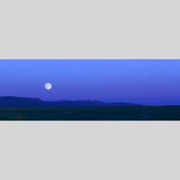 IGREBOW ��󥴥� �𸶤˾�����[���å� 1��3] ��������ܥ� ����ƥꥢ�ե��� �ԥ����㡼������ �̿�