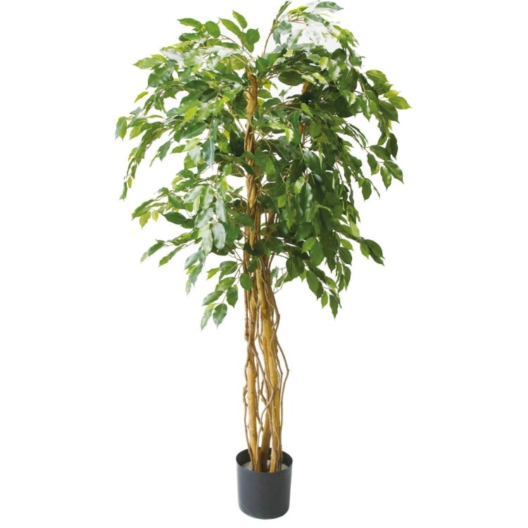 �٥󥸥�ߥ�ȥ�ץ�Х��� 180cm��GLP-1190 �����ƥ��ե�����륰�꡼�� �͹����տ�ʪ ���꡼��