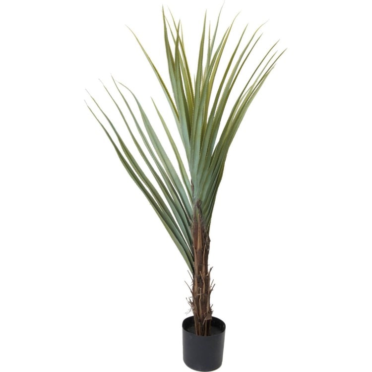 �����٥ƥʡ��� 160cm��GLP-1493 �����ƥ��ե�����륰�꡼�� �͹����տ�ʪ ���꡼��