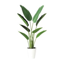 ���������� W50��H120cm��TK91879 �����ƥ��ե�����륰�꡼�� �͹����տ�ʪ �͹����� ȭ�դ����꡼��