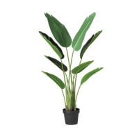 ���������� W50��H110cm��TK91880 �����ƥ��ե�����륰�꡼�� �͹����տ�ʪ �͹����� ���꡼��