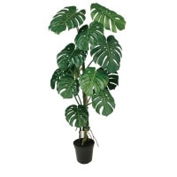 ��󥹥ƥ�Х��� W70��H150cm��TK99129 �����ƥ��ե�����륰�꡼�� �͹����տ�ʪ �͹����� ���꡼��