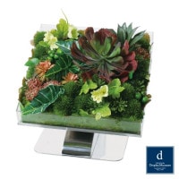 �ե�����󥸥��� (�����٥ꥢ���Х�����) H32cm W31cm�ò��ͥǥ����ץ쥤�ߥ塼������ FBCD-3025 �����ƥ��ե������ե� �ե�����󥸥��� ¤�� �١����դ�