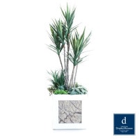 ���꡼�󥢥�󥸥��� (��å�)230cm�ò��ͥǥ����ץ쥤�ߥ塼������ FBCD-5000 �����ƥ��ե�����륰�꡼�� ���꡼�󥢥�󥸥��� ¤�� �١����դ�