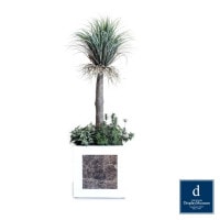 ���꡼�󥢥�󥸥��� (��å������ȥ顼��)210cm�ò��ͥǥ����ץ쥤�ߥ塼������ FBCD-5001 �����ƥ��ե�����륰�꡼�� ���꡼�󥢥�󥸥��� ¤�� �١����դ�