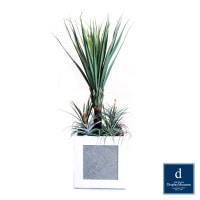 ���꡼�󥢥�󥸥��� (������)200cm�ò��ͥǥ����ץ쥤�ߥ塼������ FBCD-5004 �����ƥ��ե�����륰�꡼�� ���꡼�󥢥�󥸥��� ¤�� �١����դ�