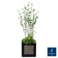 ���꡼�󥢥�󥸥��� (�ɥ�����)230cm�ò��ͥǥ����ץ쥤�ߥ塼������ FBCD-5008 �����ƥ��ե�����륰�꡼�� ���꡼�󥢥�󥸥��� ¤�� �١����դ�