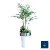 ���꡼�󥢥�󥸥��� (���쥫�䥷)270cm�ò��ͥǥ����ץ쥤�ߥ塼������ FBCD-5011 �����ƥ��ե�����륰�꡼�� ���꡼�󥢥�󥸥��� ¤�� �١����դ�