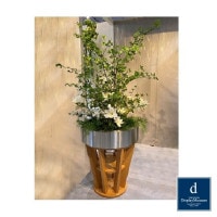 ���꡼�󥢥�󥸥��� (�ɥ�����)220cm�ò��ͥǥ����ץ쥤�ߥ塼������ FBCD-5014 �����ƥ��ե�����륰�꡼�� ���꡼�󥢥�󥸥��� ¤�� �١����դ�