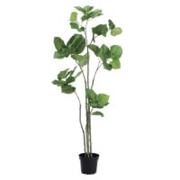 ����٥顼���ݥå�168cm��VR22023 �����ƥ��ե�����륰�꡼�� �͹����տ�ʪ �͹����� �ʰ�ȭ�դ����꡼��