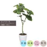 ����٥顼��1.2m��GLPA-035 �����ƥ��ե�����륰�꡼�� �͹����տ�ʪ ȭ�դ����꡼�� �Ļ�������������ޡ�V-CAT Tree��