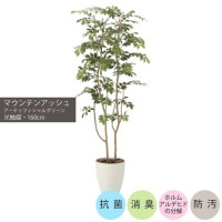 �ޥ���ƥ󥢥å���1.6m��GLPA-043 �����ƥ��ե�����륰�꡼�� �͹����տ�ʪ ȭ�դ����꡼�� �Ļ�������������ޡ�V-CAT Tree��