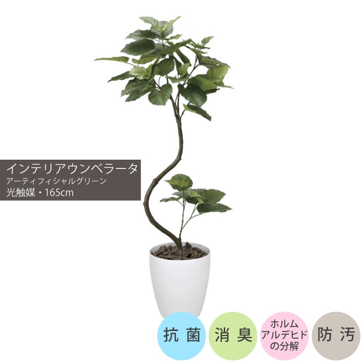 光触媒人工観葉植物ウォールグリーンフェイクグリーンウンベラータ1.2
