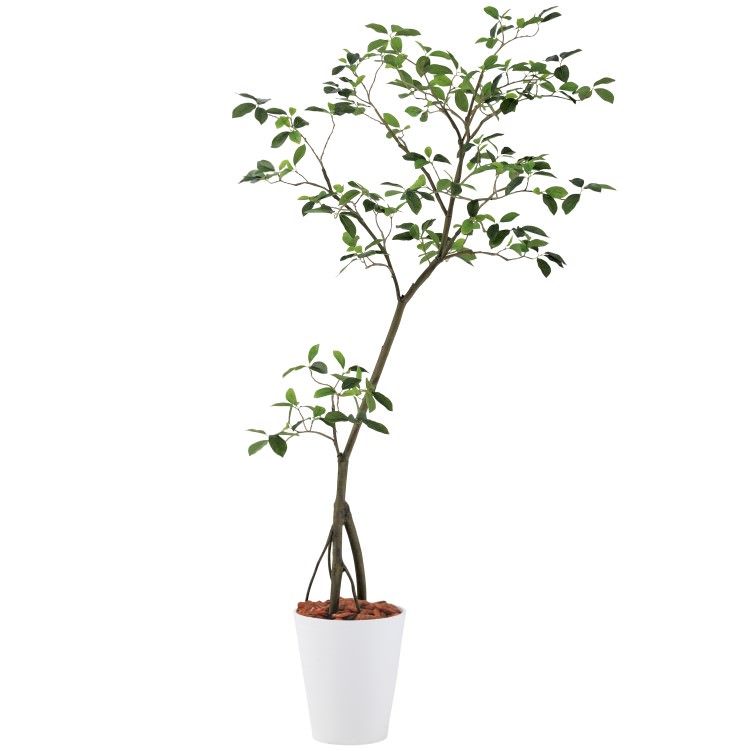 ガジュマル1.8m｜GLPT-213 アーティフィシャルグリーン 人工観葉植物 