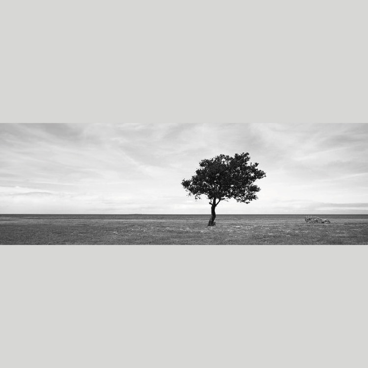 送料無料お手入れ要らず Igrebow アイグレボウ アメリカ ニューヨーク チェルシーの街並み インテリアフォト ピクチャーアート 写真 スタイリッシュ モダン モノクローム モノクロ ビッグサイズ Fucoa Cl 送料無料お手入れ要らず Igrebow アイグレボウ アメリカ ニューヨーク チェルシーの街並み インテリアフォト ピクチャーアート 写真 スタイリッシュ モダン モノクローム モノクロ ビッグサイズ Fucoa Cl