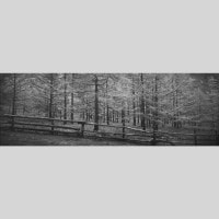 IGREBOW 󥴥 ƥ른 դο ӥå[ 13] ܥ ƥꥢե ԥ㡼 ̿