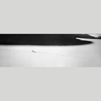 IGREBOW 󥴥 Ӻ ֤˻Ĥưʪ­ ӥå[å 13] ܥ ƥꥢե ԥ㡼 ̿