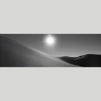 IGREBOW 󥴥 󥴥 Ӻ ֤ͼ ӥå[ 13] ܥ ƥꥢե ԥ㡼 ̿