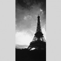 IGREBOW ե ѥ åե ӥå[ 12] ܥ ƥꥢե ԥ㡼 ̿