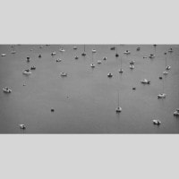 IGREBOW ե ֥륿˥  ݡȡ饾񤹤å ӥå[å 12] ܥ ƥꥢե ԥ㡼 ̿