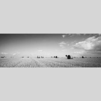 IGREBOW ե ֥륿˥ ͤδ ӥå[å 13] ܥ ƥꥢե ԥ㡼 ̿