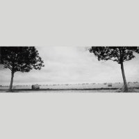 IGREBOW �ե�� �Υ�ޥ�ǥ��� �ǥ���ӥ�������Ϥȴ�������� �ӥå���������[����� 1��3] ��������ܥ� ����ƥꥢ�ե��� �ԥ����㡼������ �̿�