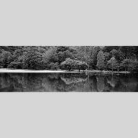 IGREBOW ڸ Ťʤθ ӥå[» 13] ܥ ƥꥢե ԥ㡼 ̿