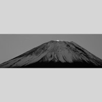 IGREBOW  ٻ ӥå[ 13] ܥ ƥꥢե ԥ㡼 ̿