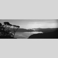 IGREBOW  ͼγ ӥå[» 13] ܥ ƥꥢե ԥ㡼 ̿