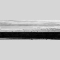 IGREBOW  ǽ ΥΩϢ ӥå[» 13] ܥ ƥꥢե ԥ㡼 ̿