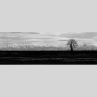 IGREBOW  ǽ ɤڤΩϢ ӥå[» 13] ܥ ƥꥢե ԥ㡼 ̿