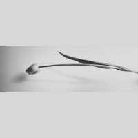 IGREBOW 塼å ӥå[» 13] ܥ ƥꥢե ԥ㡼 ̿