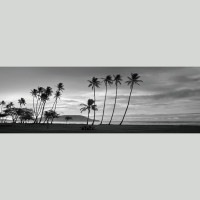 IGREBOW ϥ磻 Υ磻ӡȥ䥷 ӥå[» 13] ܥ ƥꥢե ԥ㡼 ̿