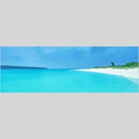 IGREBOW  ܸť֥롼γ򤤺ͥ͡ӡ ӥå[» 13] ܥ ƥꥢե ԥ㡼 ̿