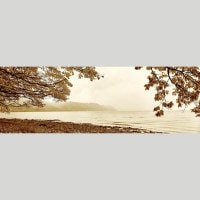 IGREBOW ̳ƻƶ ӥå[» 13] ܥ ƥꥢե ԥ㡼 ̿