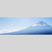 IGREBOW  ͺٻλ ӥå[» 13] ܥ ƥꥢե ԥ㡼 ̿