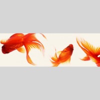 IGREBOW ��� �ӥå���������[���å� 1��3] ��������ܥ� ����ƥꥢ�ե��� �ԥ����㡼������ �̿�