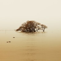 IGREBOW ���츩 ���ʸ� �ӥå���������[����� 1��1] ��������ܥ� ����ƥꥢ�ե��� �ԥ����㡼������ �̿�